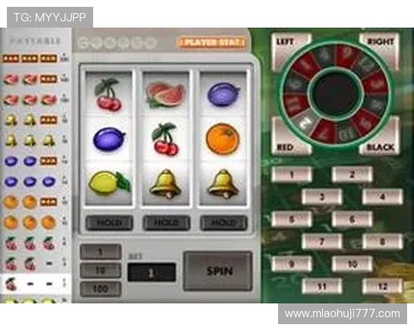 影响老虎机几率的因素有哪些以及玩家应如何合理利用