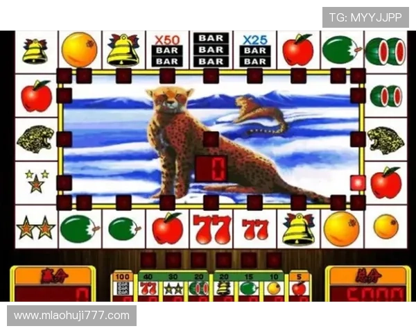 水果机老虎机官方版免费下载，支持离线模式随时随地畅玩