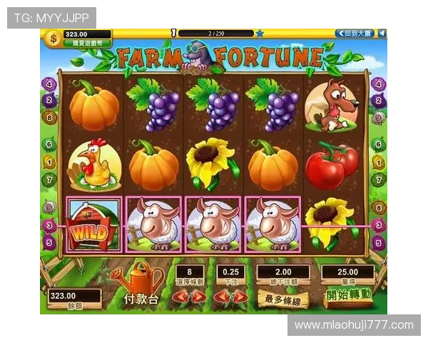 深入分析老虎机连线规则图解让你理解各种连线组合的中奖原理