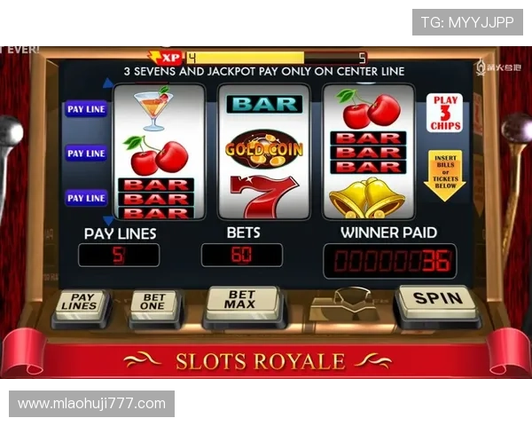 老虎机官方下载官方平台,提供丰富多样的游戏选择与优质服务 老虎机官方下载官方平台,提供丰富多样的游戏选择与优质服务